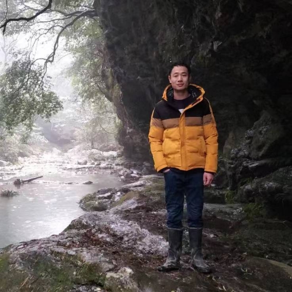 鲤鱼等于老师的照片