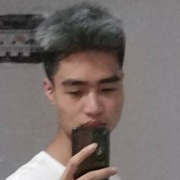 小蜜蜂迷茫的照片