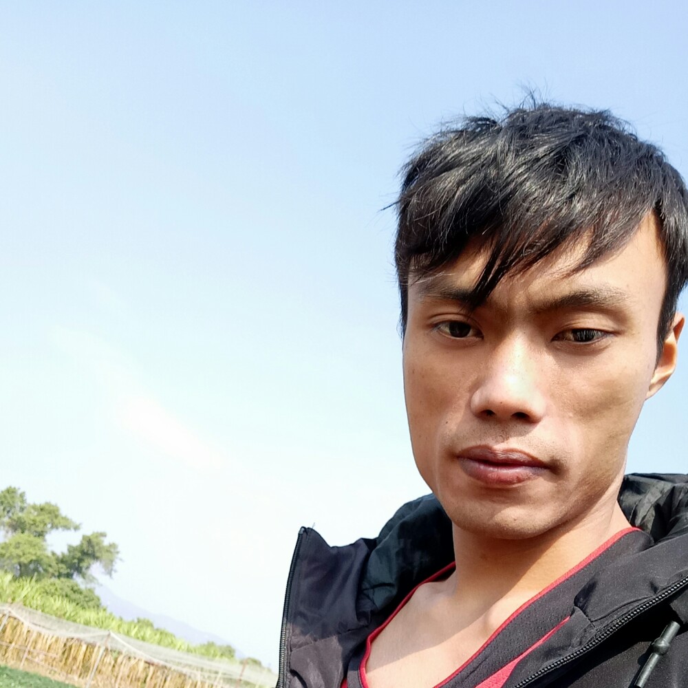 夕阳下的骑士的照片