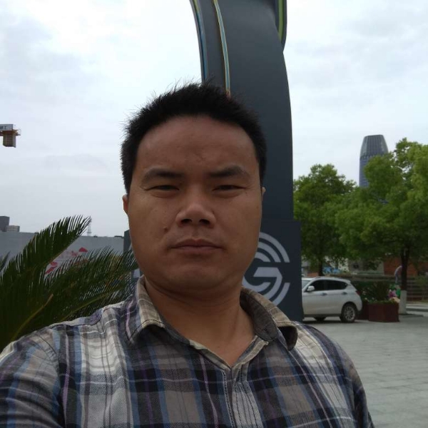 紫菜端庄的照片