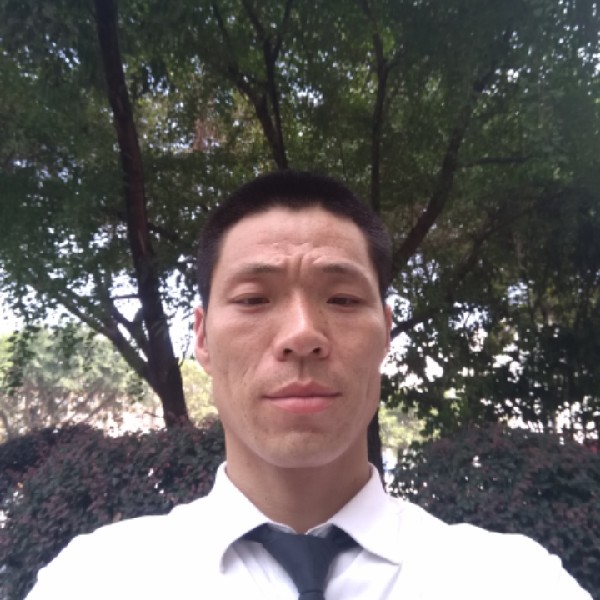 动人小天鹅的照片