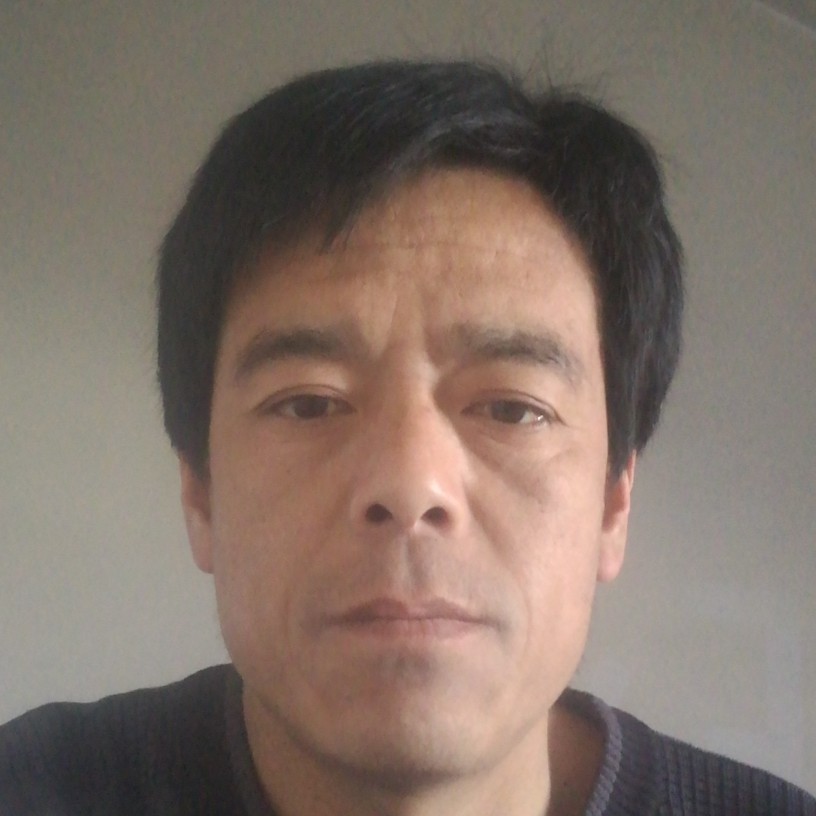 真淳打斑马的照片
