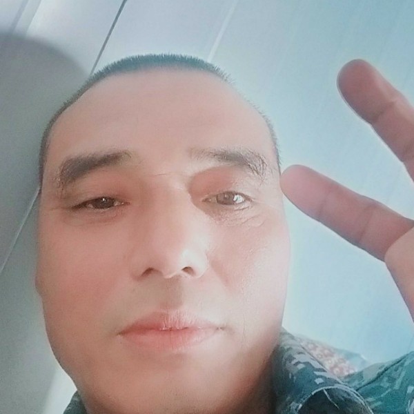 奋斗人生犹豫树叶的照片