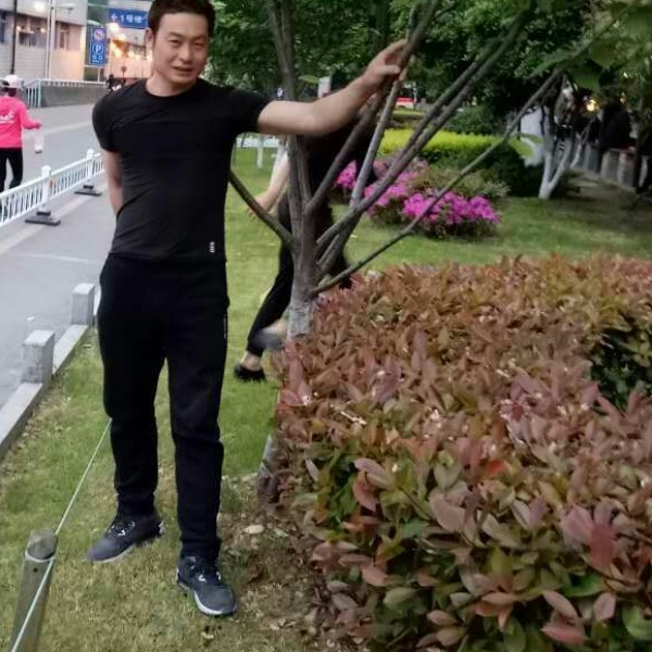 离歌娇气的照片