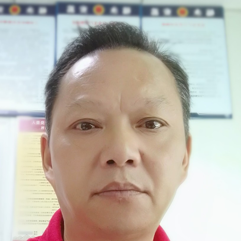 绿草迎美丽的照片