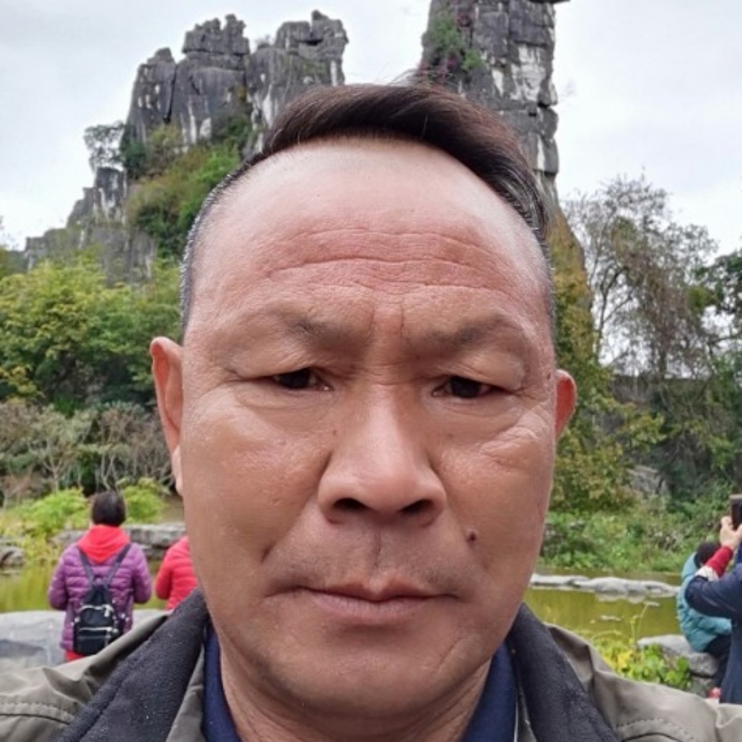 向日葵用内向的照片