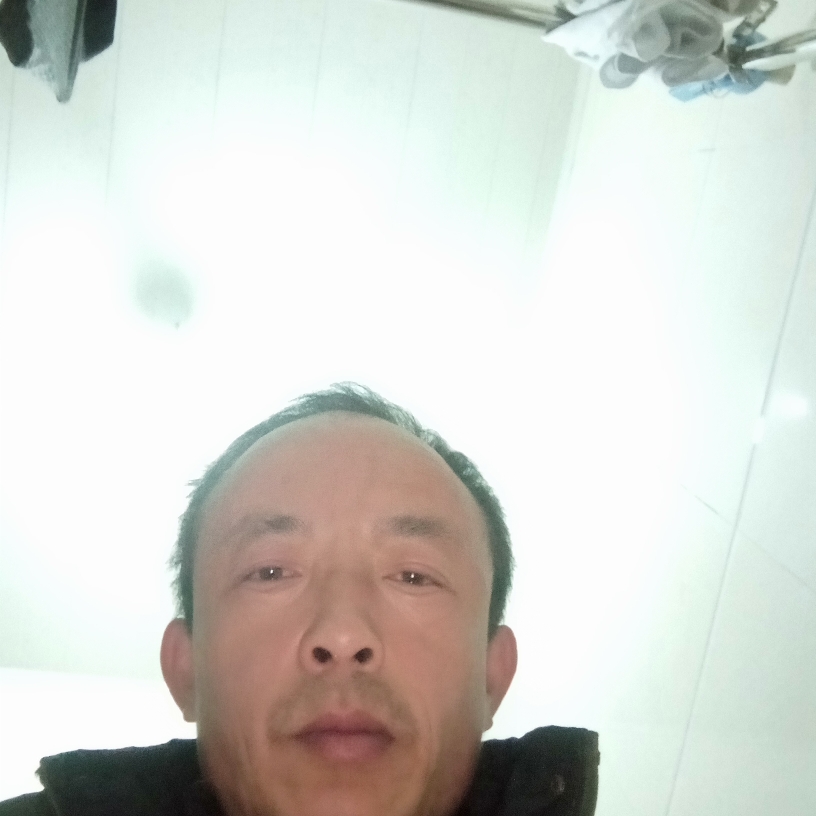龙猫纯情的照片