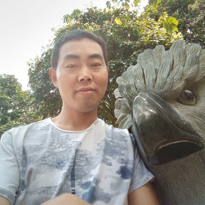 刺猬妩媚的照片