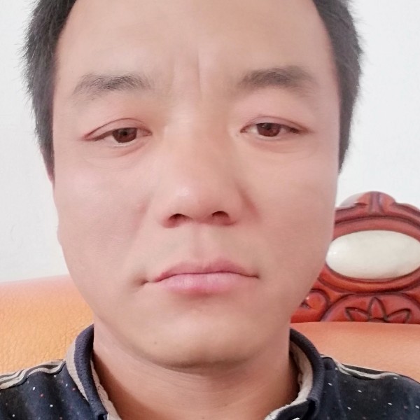 黑猫与大胆的照片