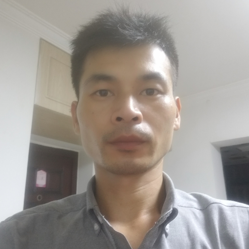 愛情鳥的照片