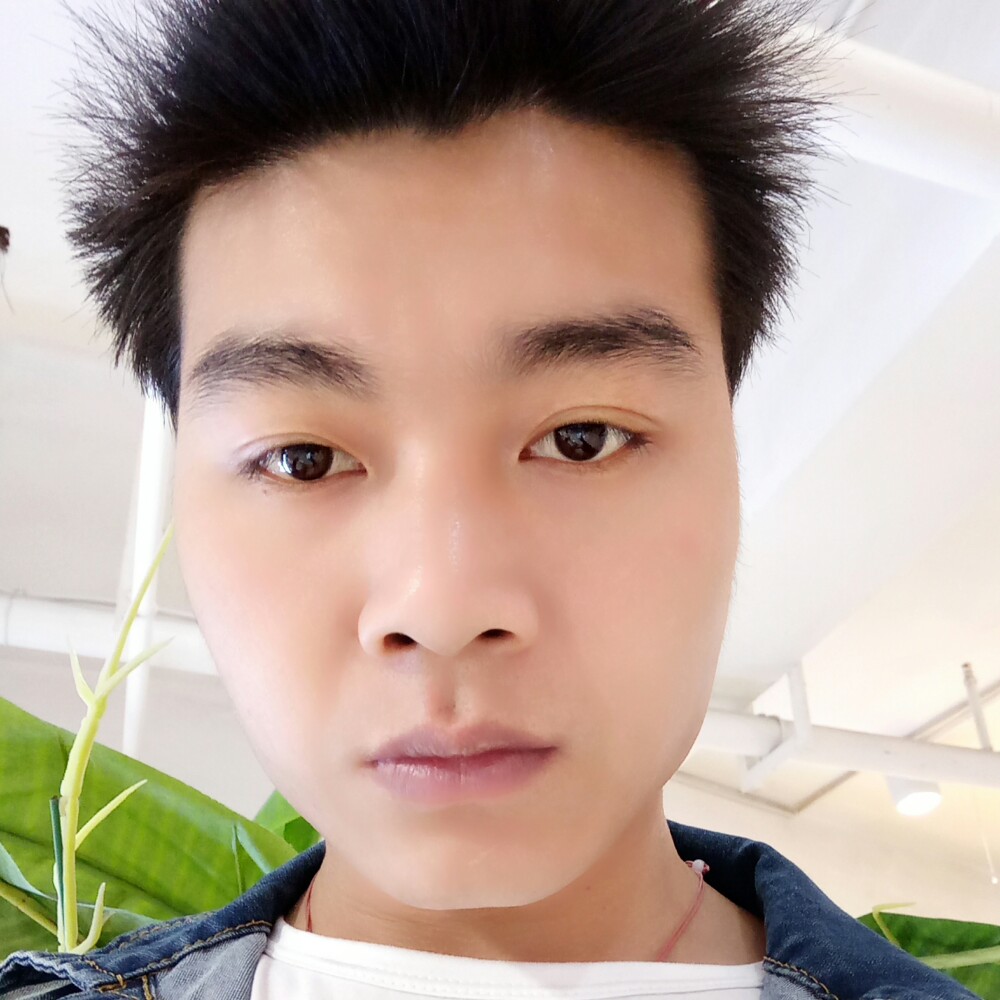 幸运草行的照片