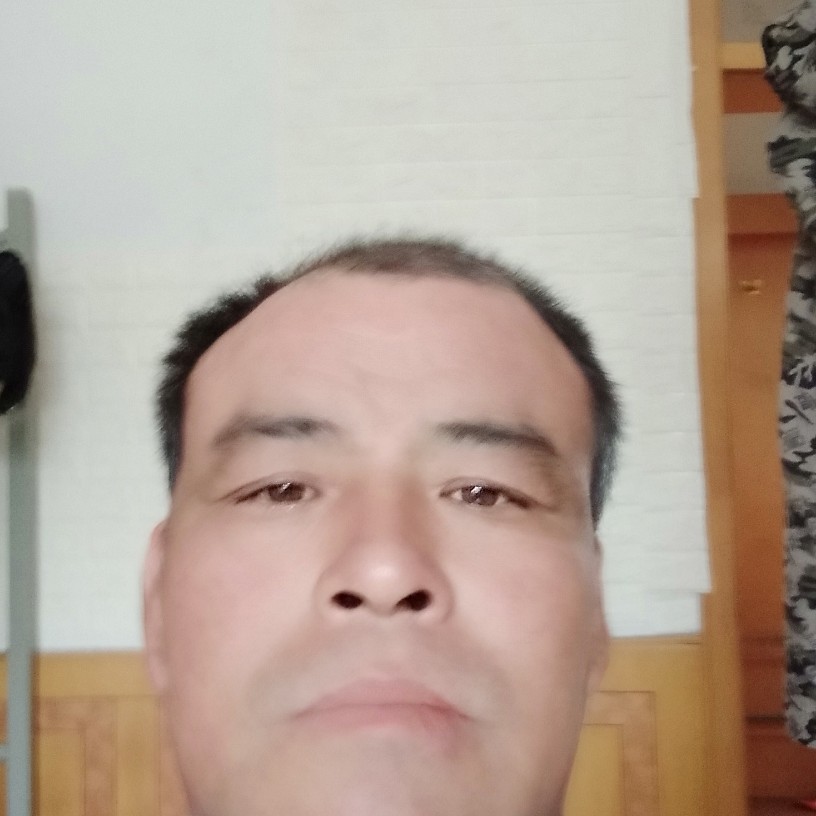 树叶还激情的照片