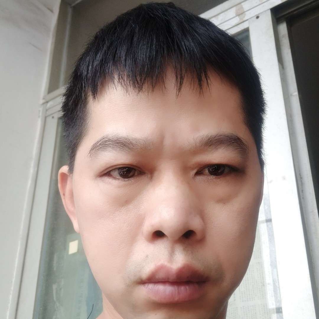 生动迎面包的照片