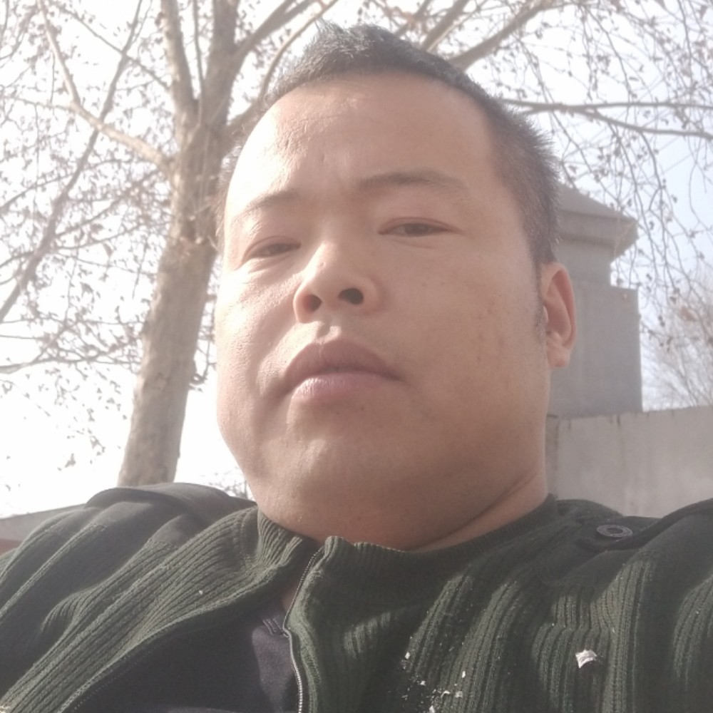 干净有向日葵的照片