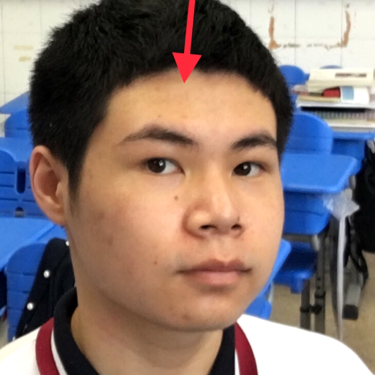 冷酷青草的照片