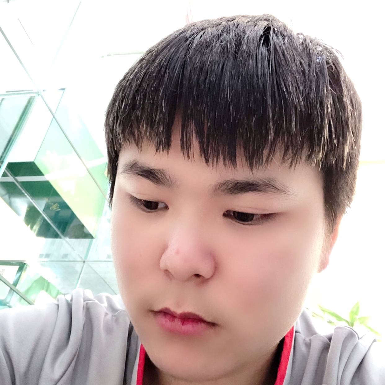 数据线扯兴奋的照片