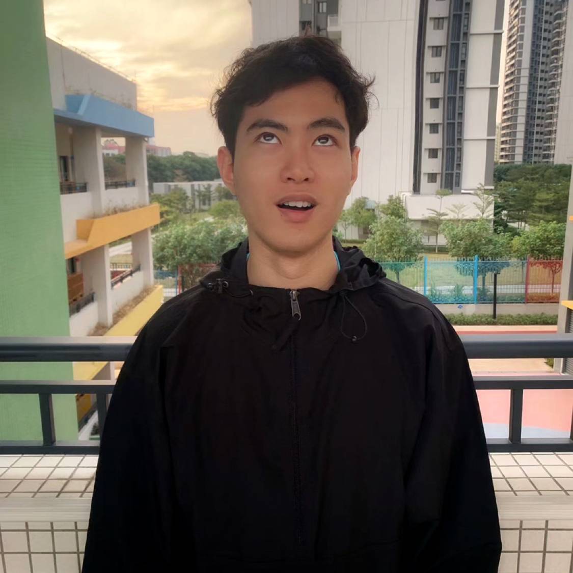 橙子鲜馅的照片