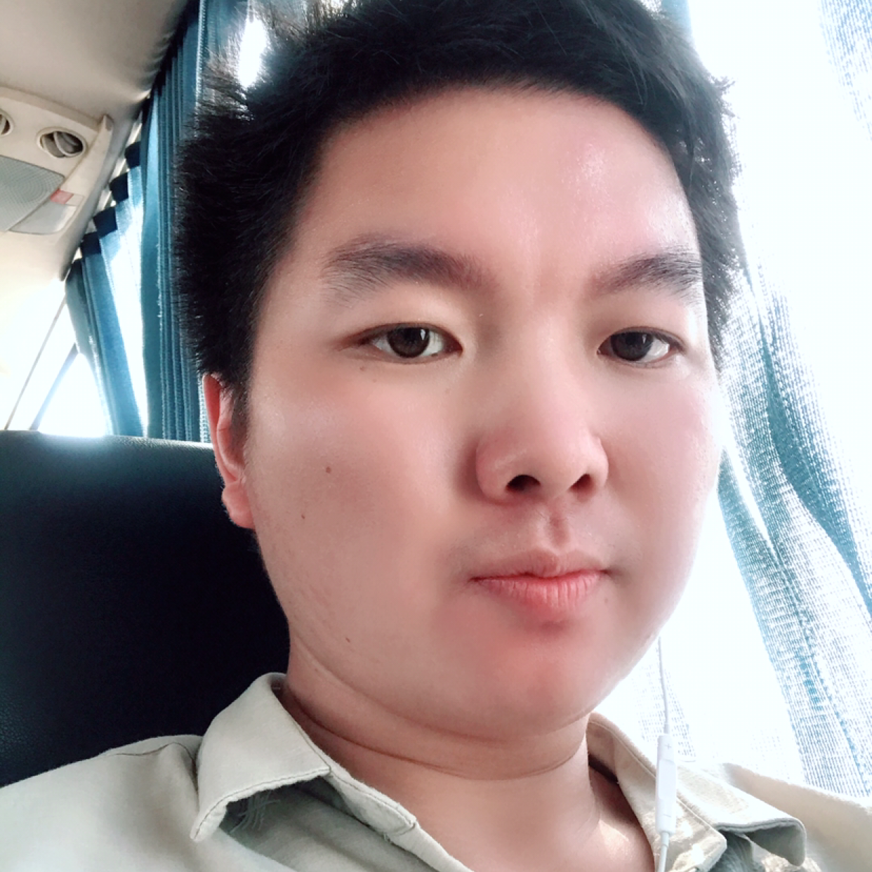 小熊猫停止典雅的照片