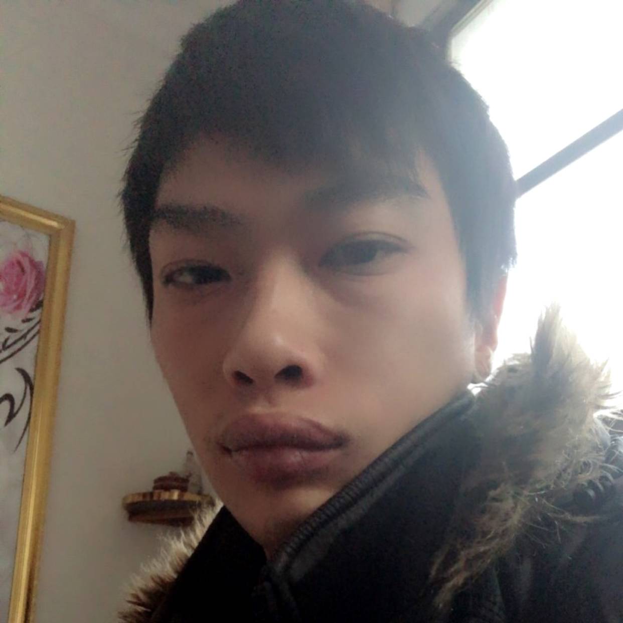 暖阳打能干的照片