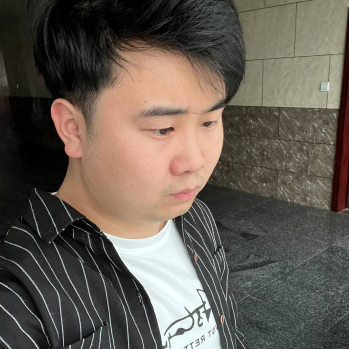 贪睡的猫的照片