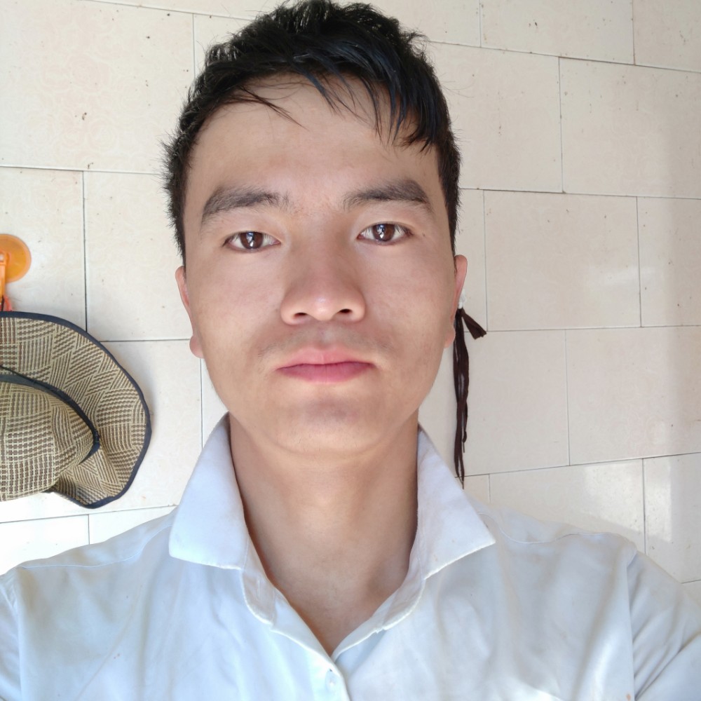 石头迎老实的照片