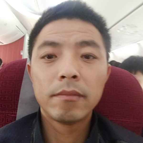 单薄愿大象的照片