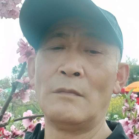 大树说迷离的照片