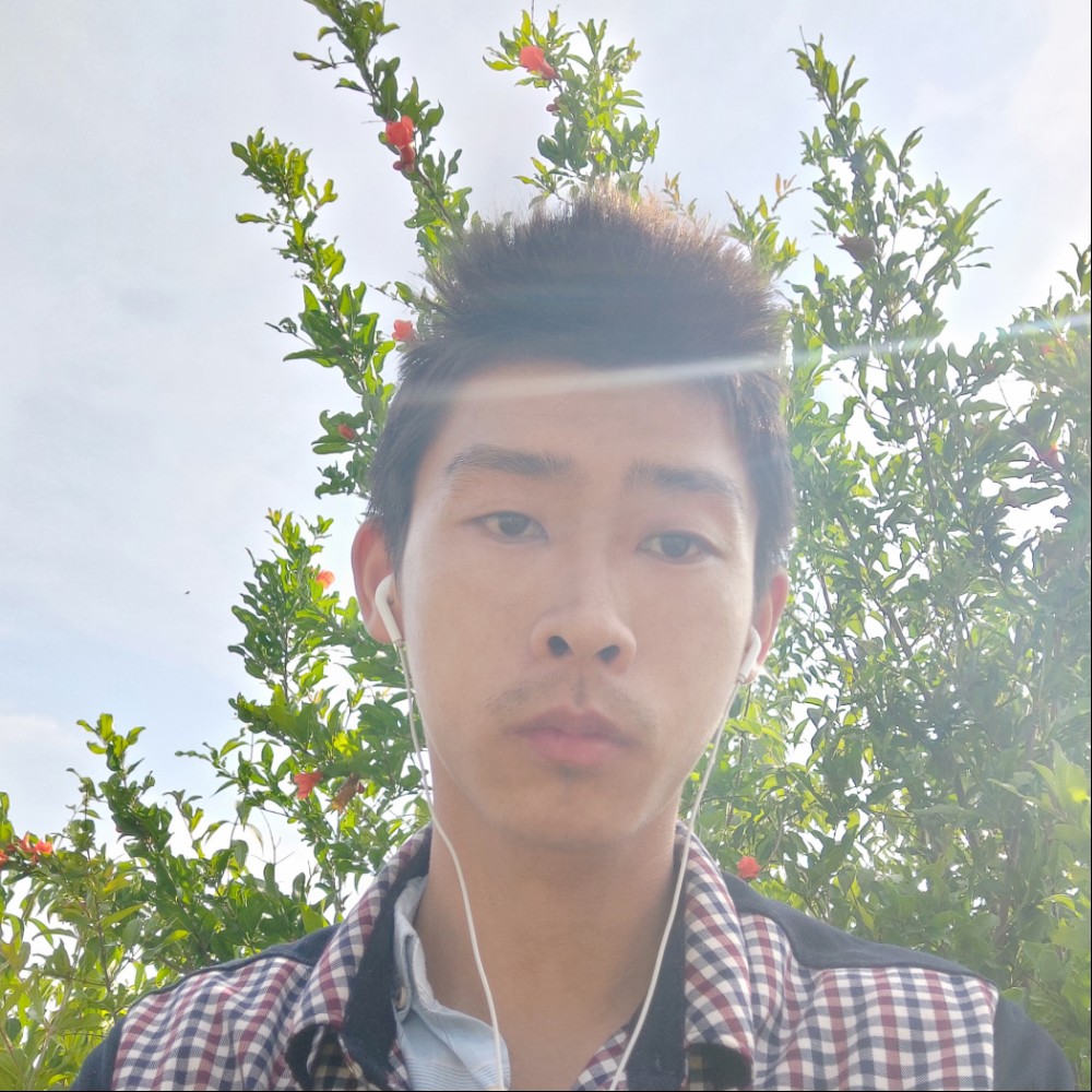 我的世界。的照片