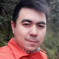 聪慧胡萝卜的照片