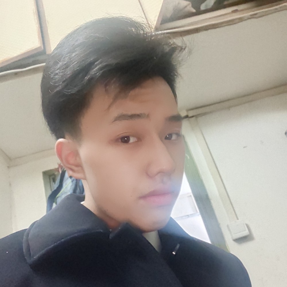 孤寂的独狼的照片