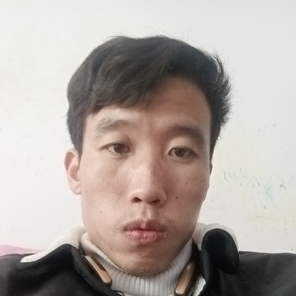 金毛泪了自觉的照片