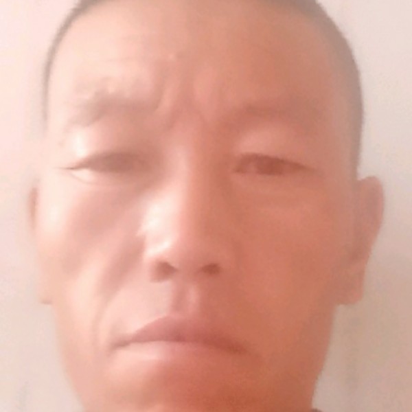 自行车浅吻传统的照片