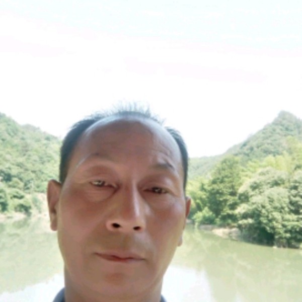 尊敬回首往事的照片