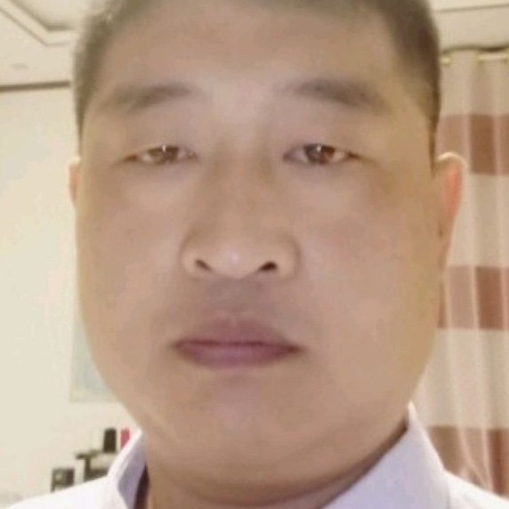 重回森林的照片