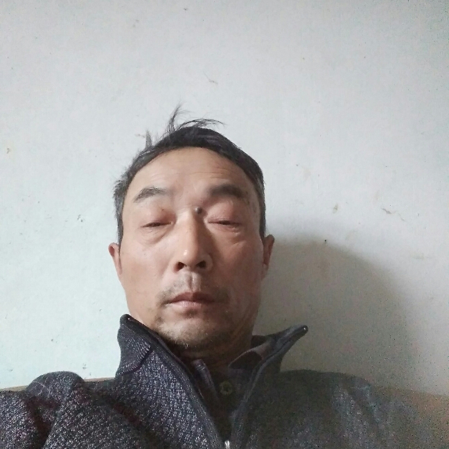 孤鹰难飞的照片