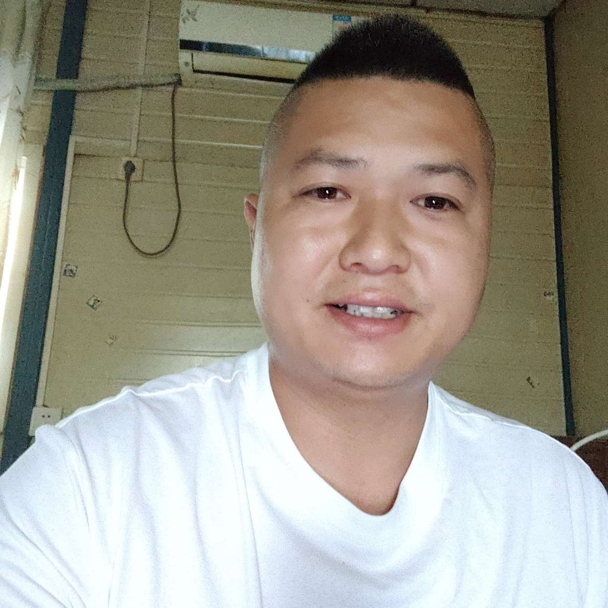 猫咪没有鱼的照片