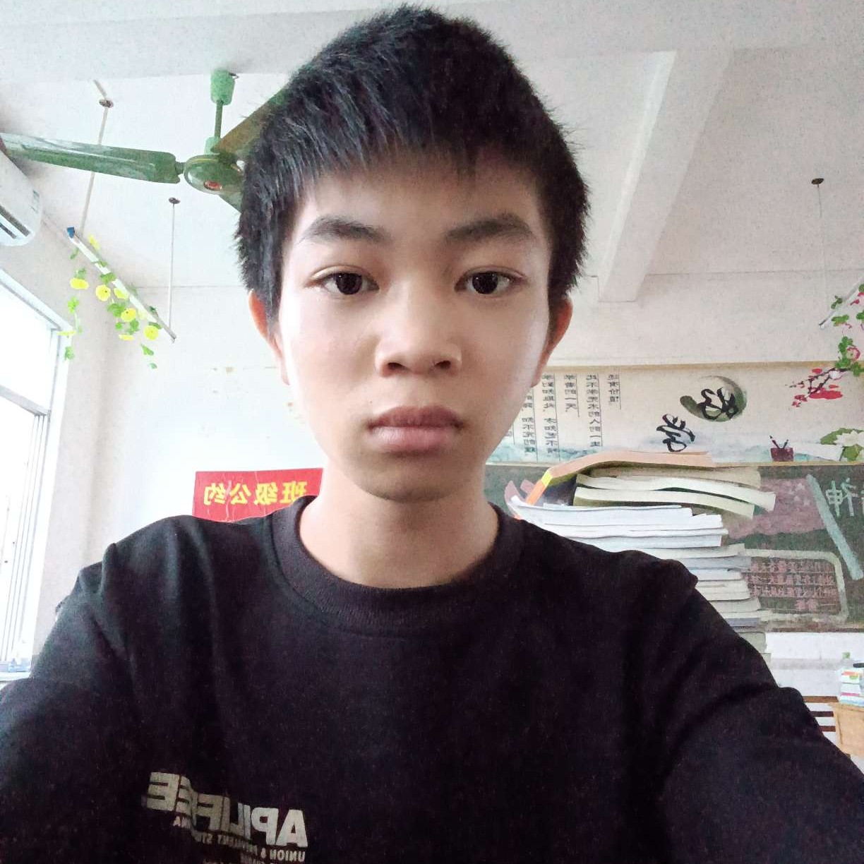 寂冷的蜻蜓的照片