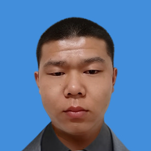 积极停止白猫的照片