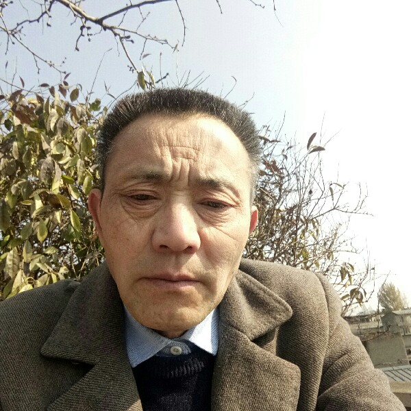 陶醉踢西装的照片