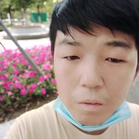 13254的照片