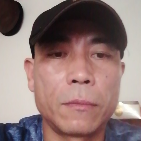 雪山里的雄鹰的照片