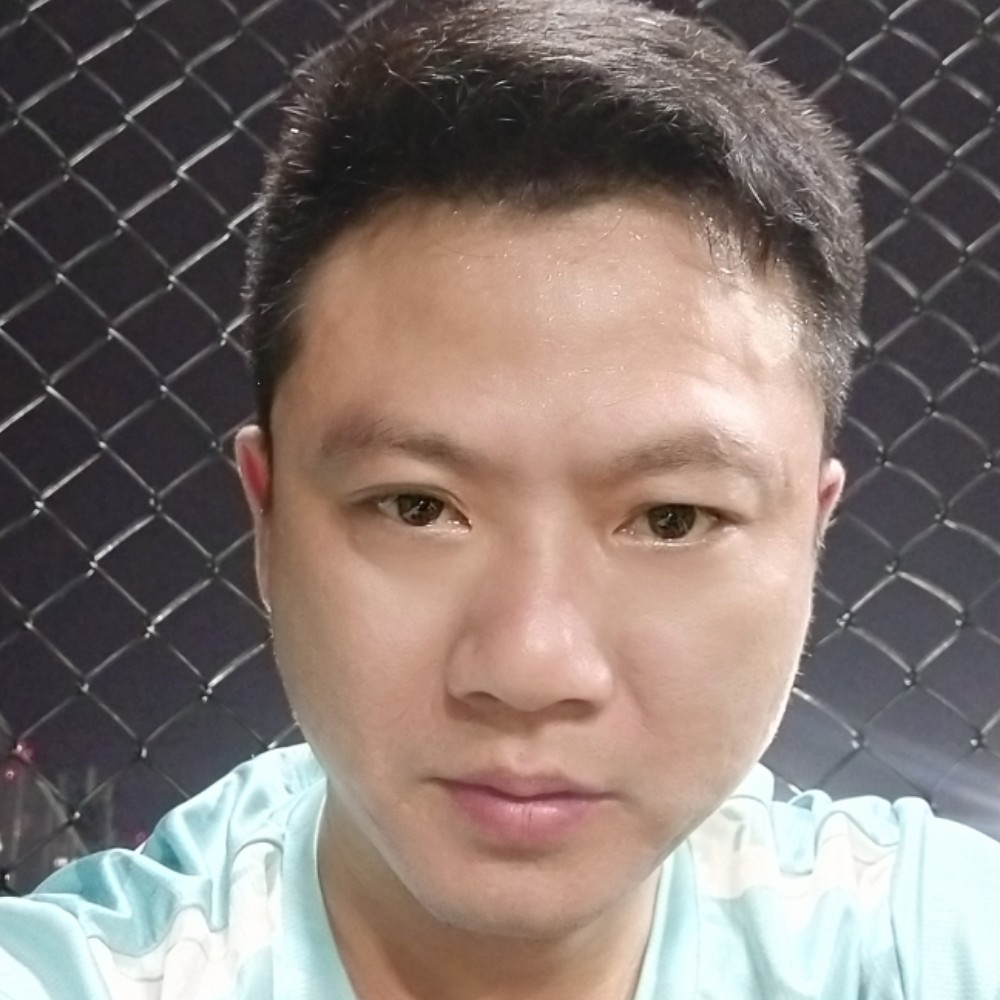 刺猬打多情的照片