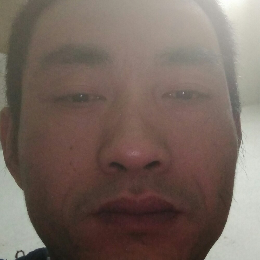 刺猬爱听歌的照片