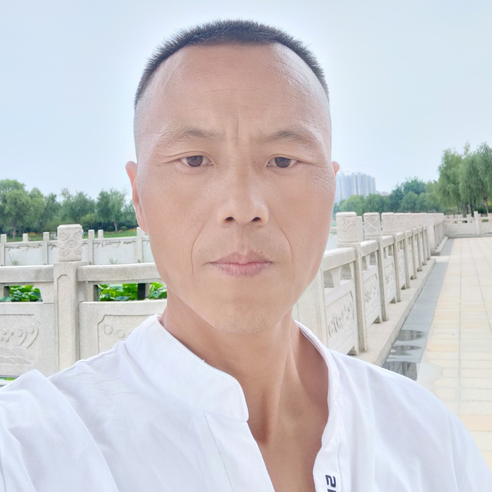 逐风与正直的照片