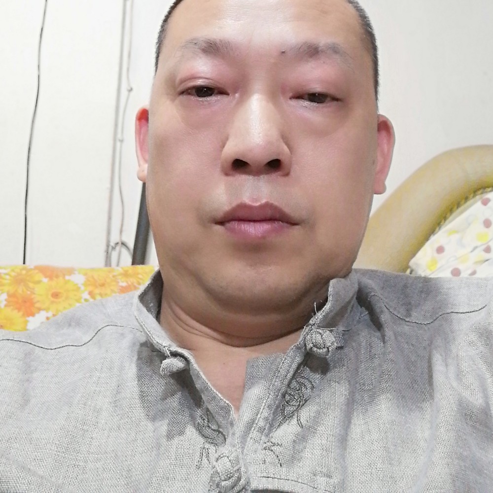 小鸽子多么大胆的照片