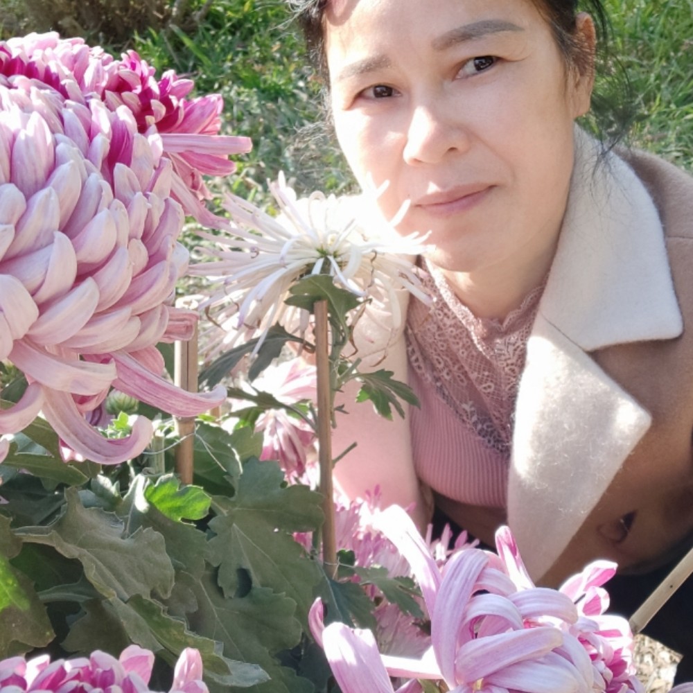 灼热深拥荷花的照片
