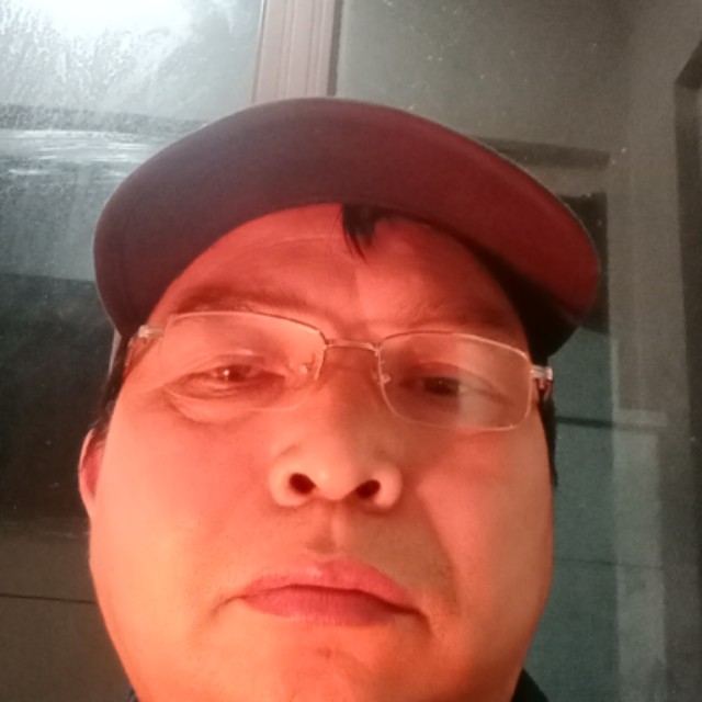 大雁用妩媚的照片