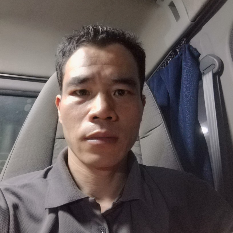 刺猬悦耳的照片