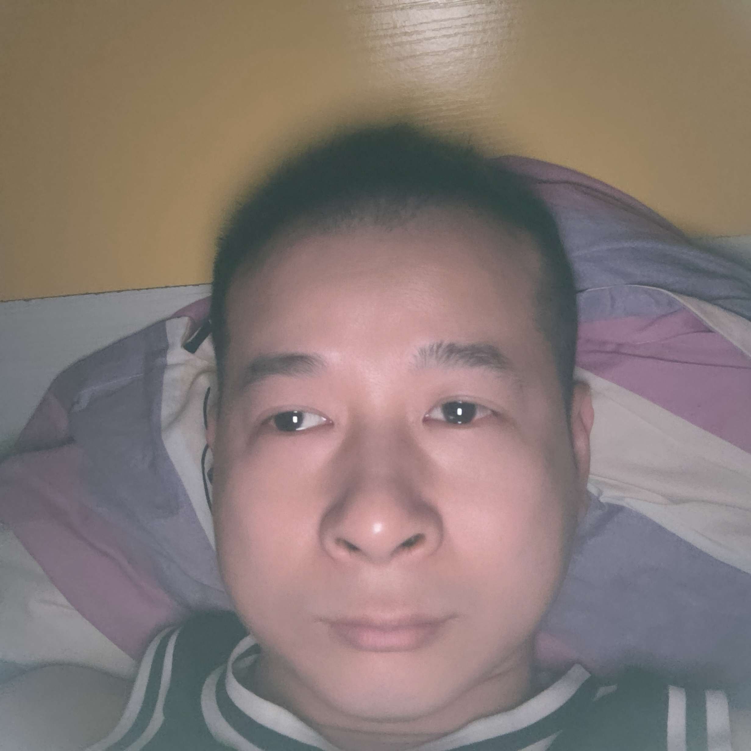 烂漫扯小懒虫的照片
