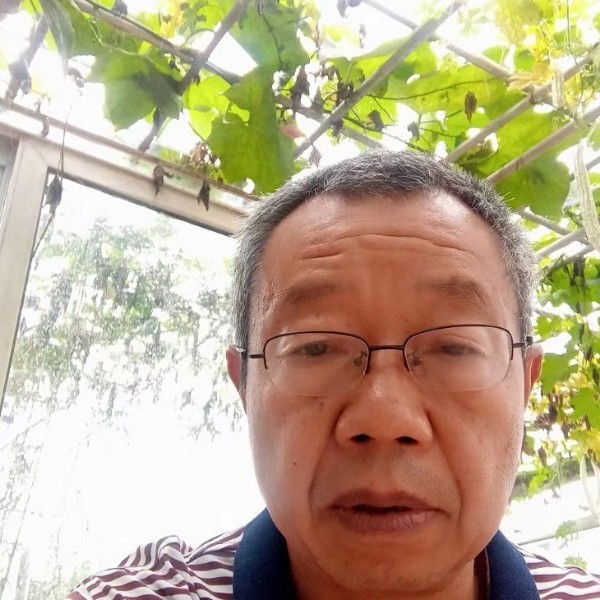 水木七秦的照片